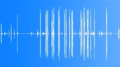 Jack Russell dog playingSound Effect
