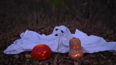 Jack Russell Terrier dog in a ghost costume for Halloween in the woods. Stock Footage 286820785