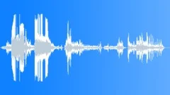 Jack Russell Terrier Growl Sound Effect
