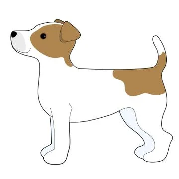 Jack Russell Terrier Stock Illustration