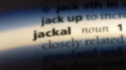 Jackal word in a dictionary. Stock Footage 99561682