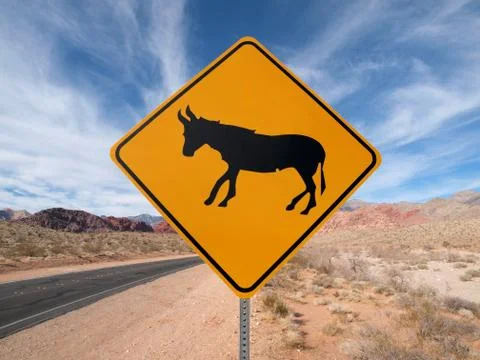 Jackass on the loose Fotos Stock