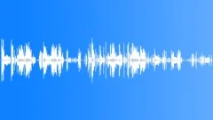 Jackdaw CU CallsSound Effect