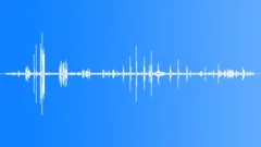 Jackdaw Flight CallsSound Effect