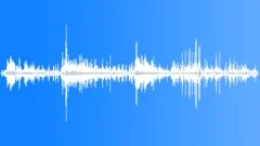 Jackdaw MD CU Calls Sound Effect