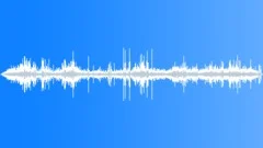 Jackdaws Calling LoudSound Effect