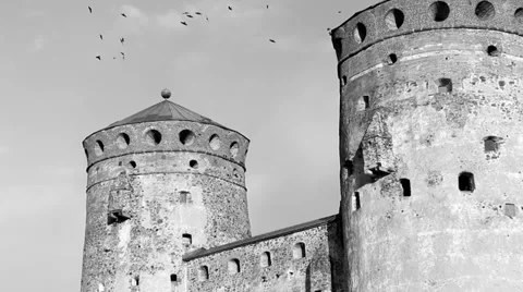 Jackdaws at the old castle Stock Footage 38006808