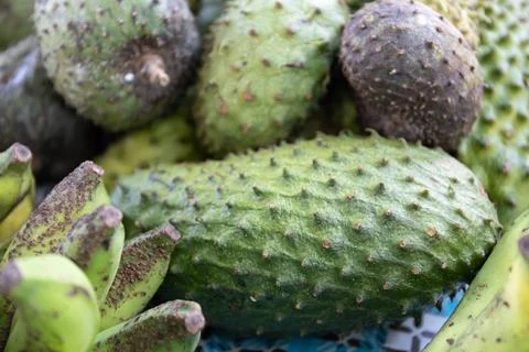 Jackfruit close up Stock Photos