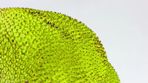 Jackfruit close up shell jackfruit skin, close-up rotation on white background Stock Footage 90732360