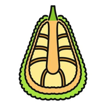 Jackfruit cross section flat vector illustration icon Illustrazione stock