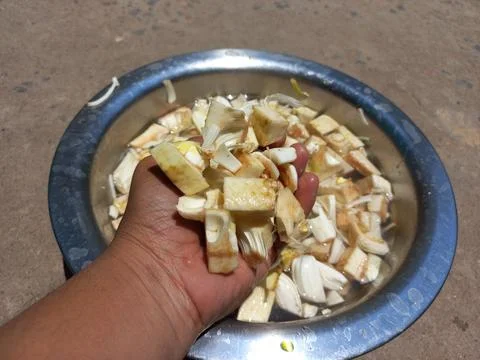 Jackfruit cutting Vegetable, Stock Photos