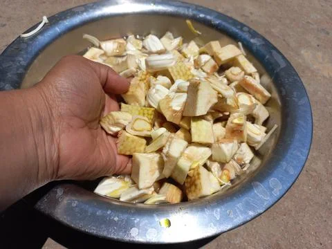 Jackfruit cutting Vegetable, Stock Photos