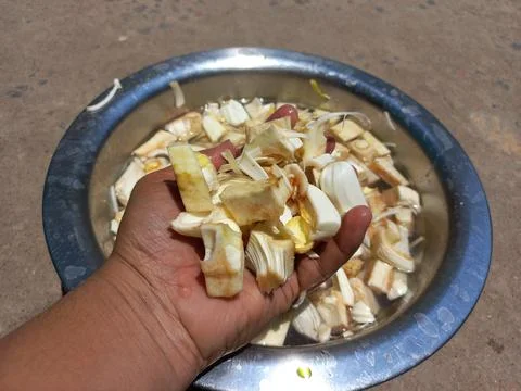 Jackfruit cutting Vegetable, Stock Photos