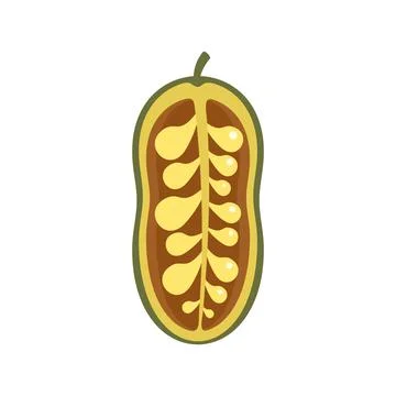 Jackfruit icon flat isolated vector イラスト素材