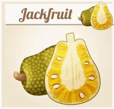Jackfruit illustration. Cartoon vector icon Stock Illustration