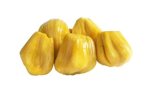 Jackfruit isolated on white background close up top view. Stock Photos