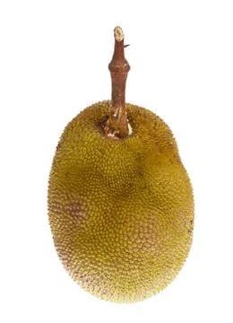 Jackfruit isolated on white background Foto stock