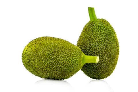 Jackfruit isolated on white background Stock Photos