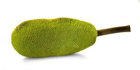 Jackfruit isolated on white background. Stock Photos