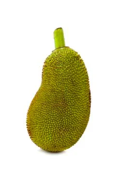 Jackfruit isolated on white background Stock-Fotos
