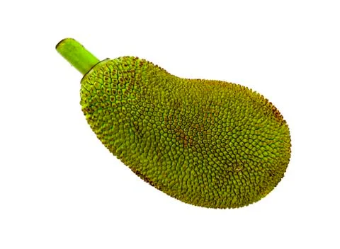 Jackfruit isolated on white background Foto stock