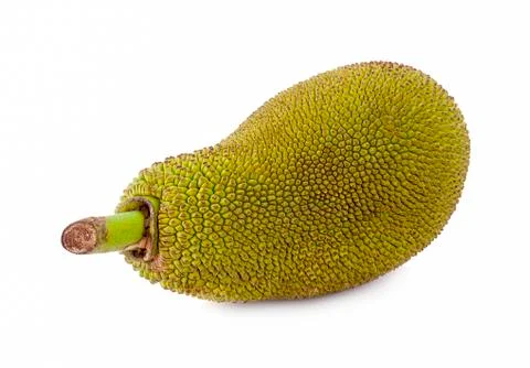 Jackfruit isolated on white background Stock Photos