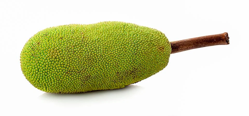 Jackfruit isolated on white background Stock Photos