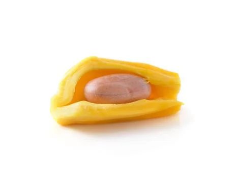 Jackfruit isolated on white background Stock Photos