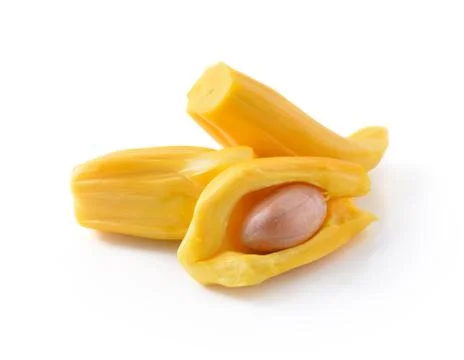 Jackfruit isolated on white background Stock Photos