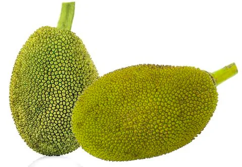 Jackfruit isolated on white background Stock Photos
