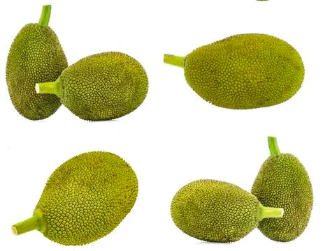 Jackfruit isolated on white background Foto stock
