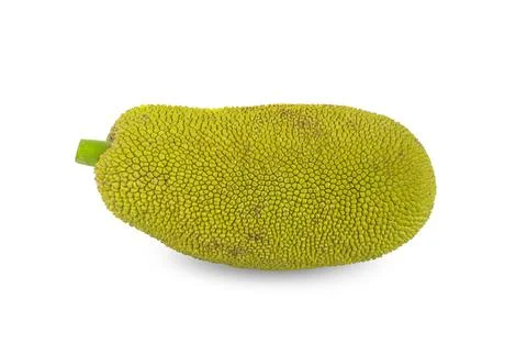 Jackfruit an isolated on white background Stock Photos