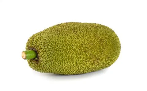 Jackfruit isolated on white background Stock Photos