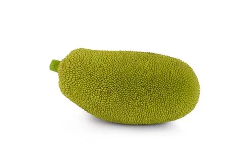 Jackfruit isolated on white background Stock Photos