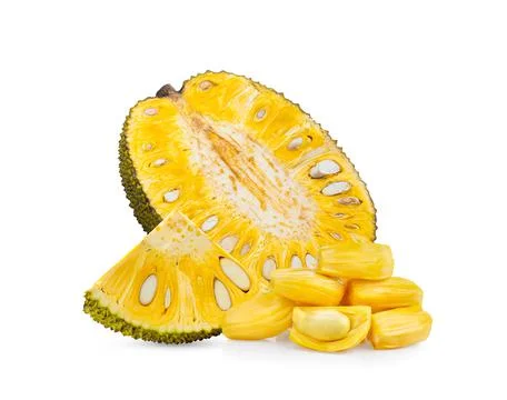 Jackfruit isolated on white background Stock Photos