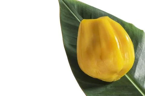 Jackfruit in leaves on white background close up top view. Stock Photos