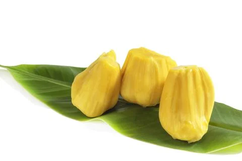 Jackfruit in leaves on white background close up top view. Stock Photos
