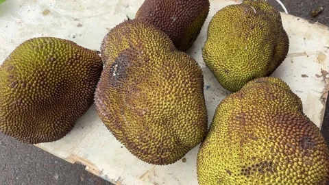 Jackfruit on the market shelf for consumers Stock Footage 296187860