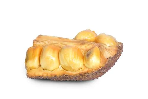 Jackfruit or campedak Stock Photos