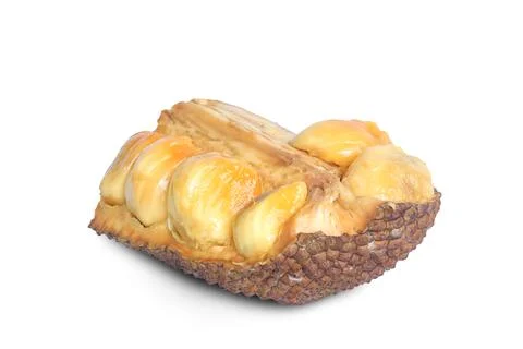Jackfruit or campedak Stock Photos