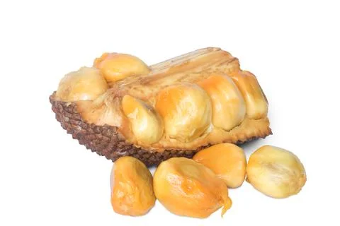 Jackfruit or campedak Stock Photos