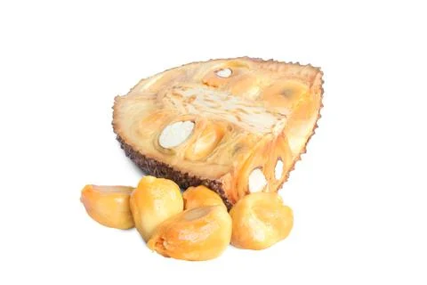 Jackfruit or campedak 스톡 사진