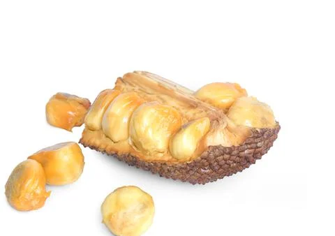 Jackfruit or campedak Stock Photos