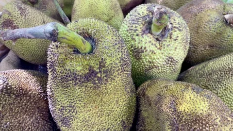Jackfruit  or kathal fruit in a big basket. jackfruit isolated, kathal fruit. Stock Footage 287438426