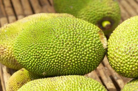 Jackfruit Stock Photos