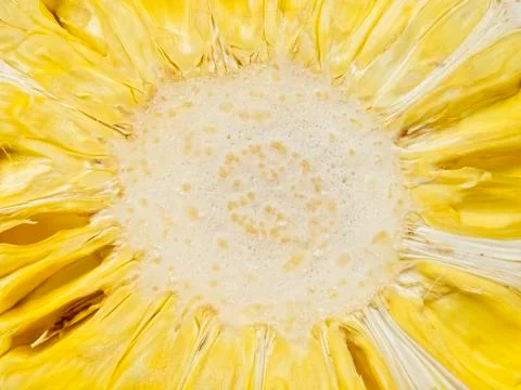 Jackfruit Stock Photos