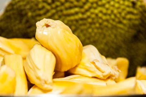 Jackfruit 写真素材