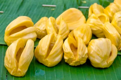 Jackfruit Stock Photos