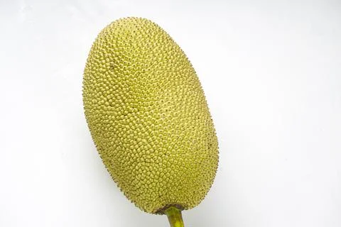 Jackfruit Stock Photos
