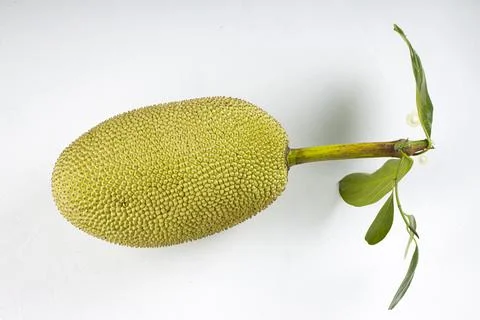 Jackfruit Stock Photos